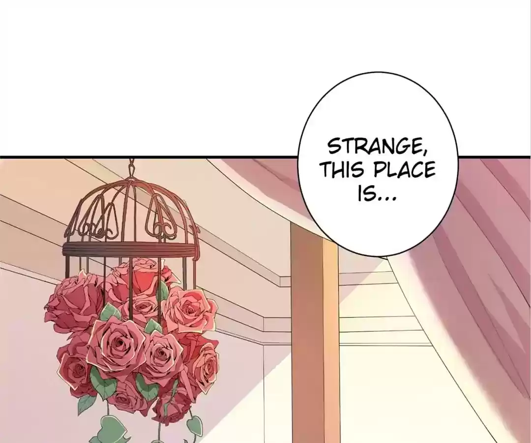 The Substitute Bride Chapter 3