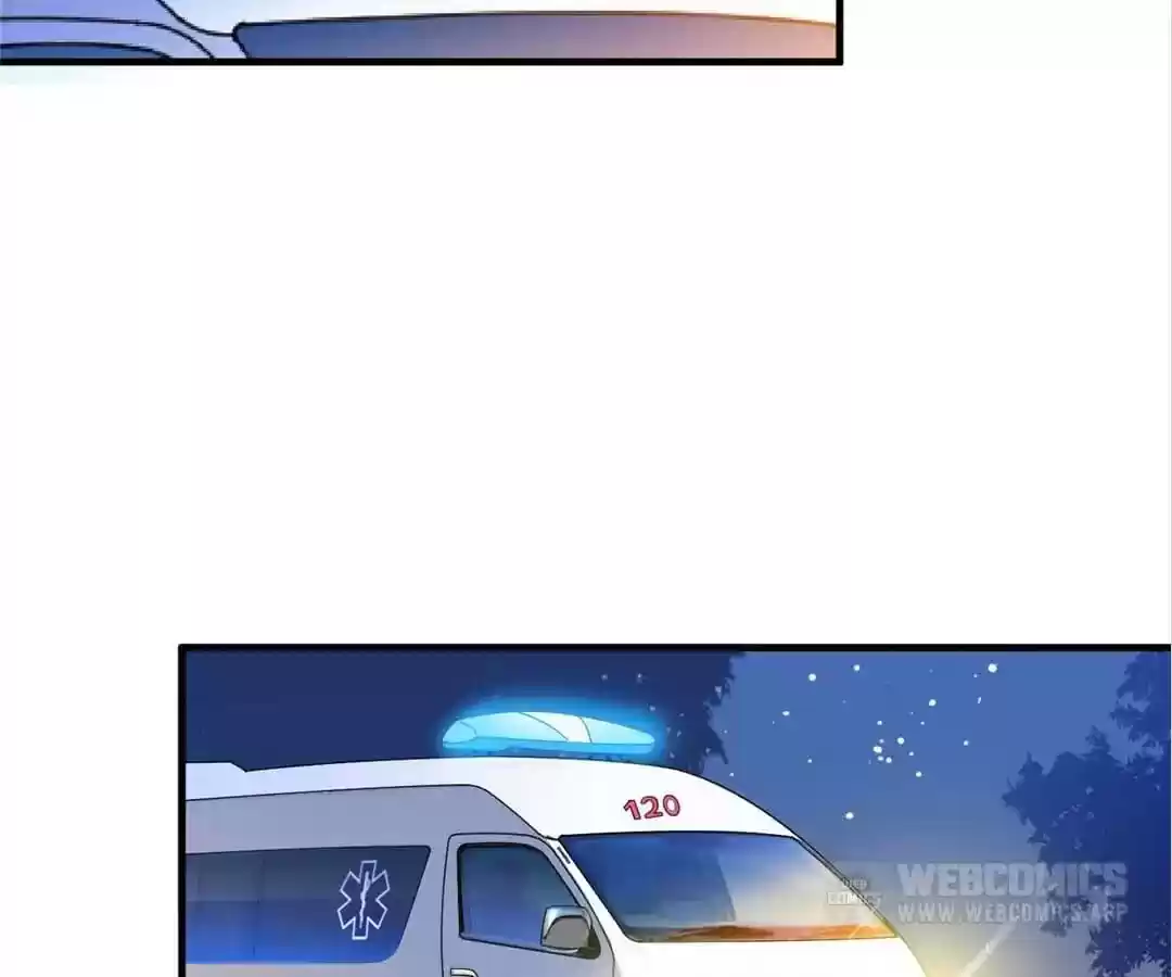 The Substitute Bride Chapter 33