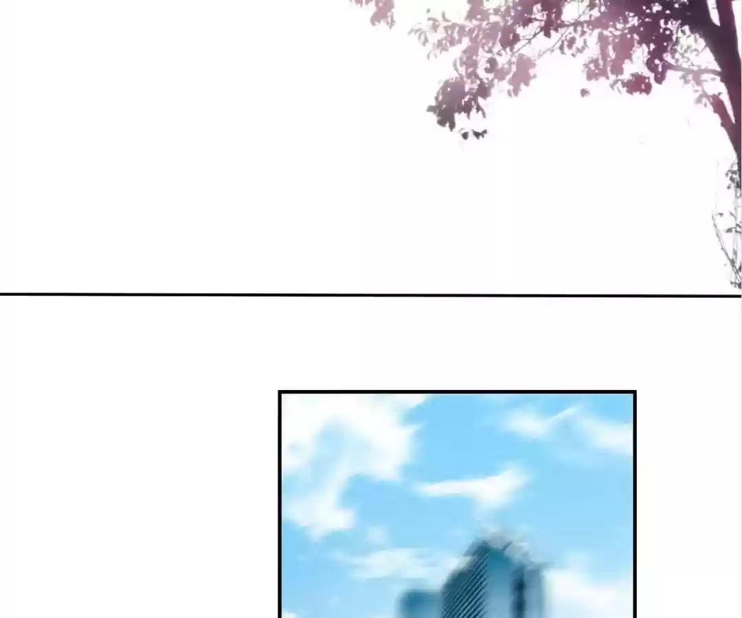 The Substitute Bride Chapter 4