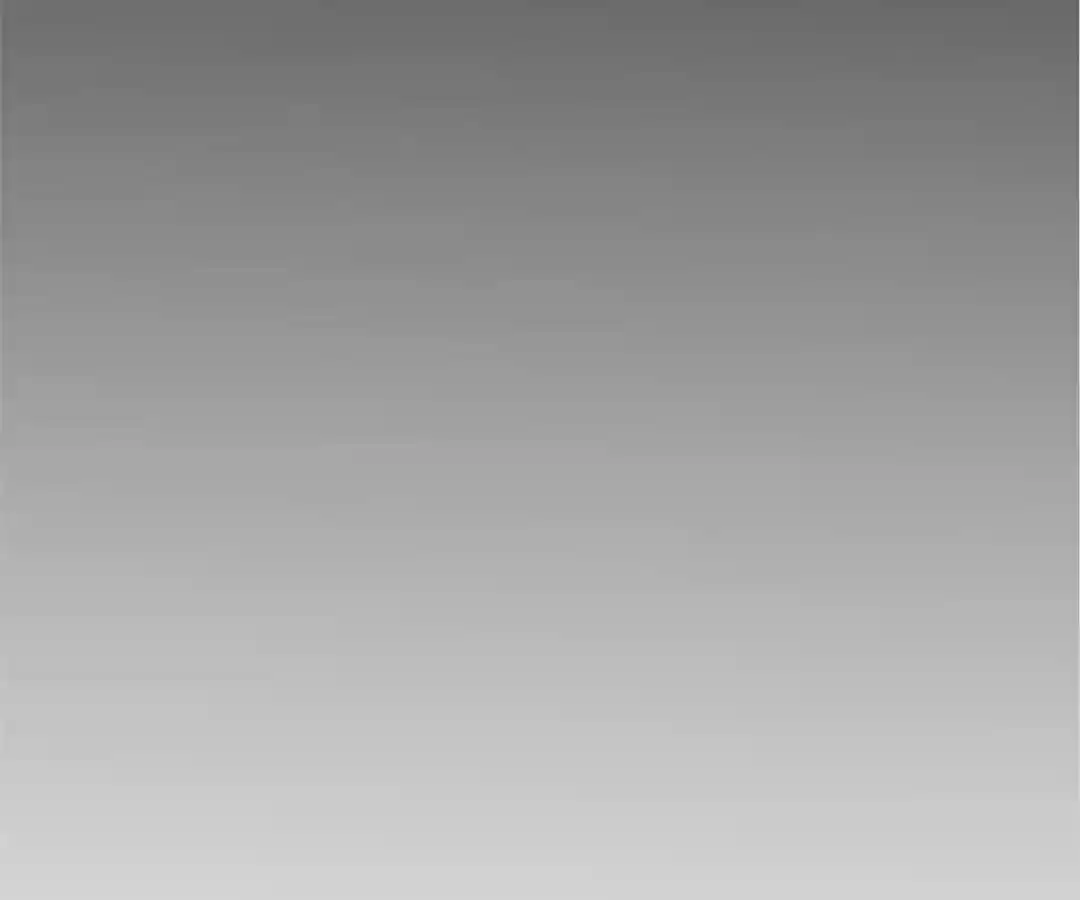 The Substitute Bride Chapter 43