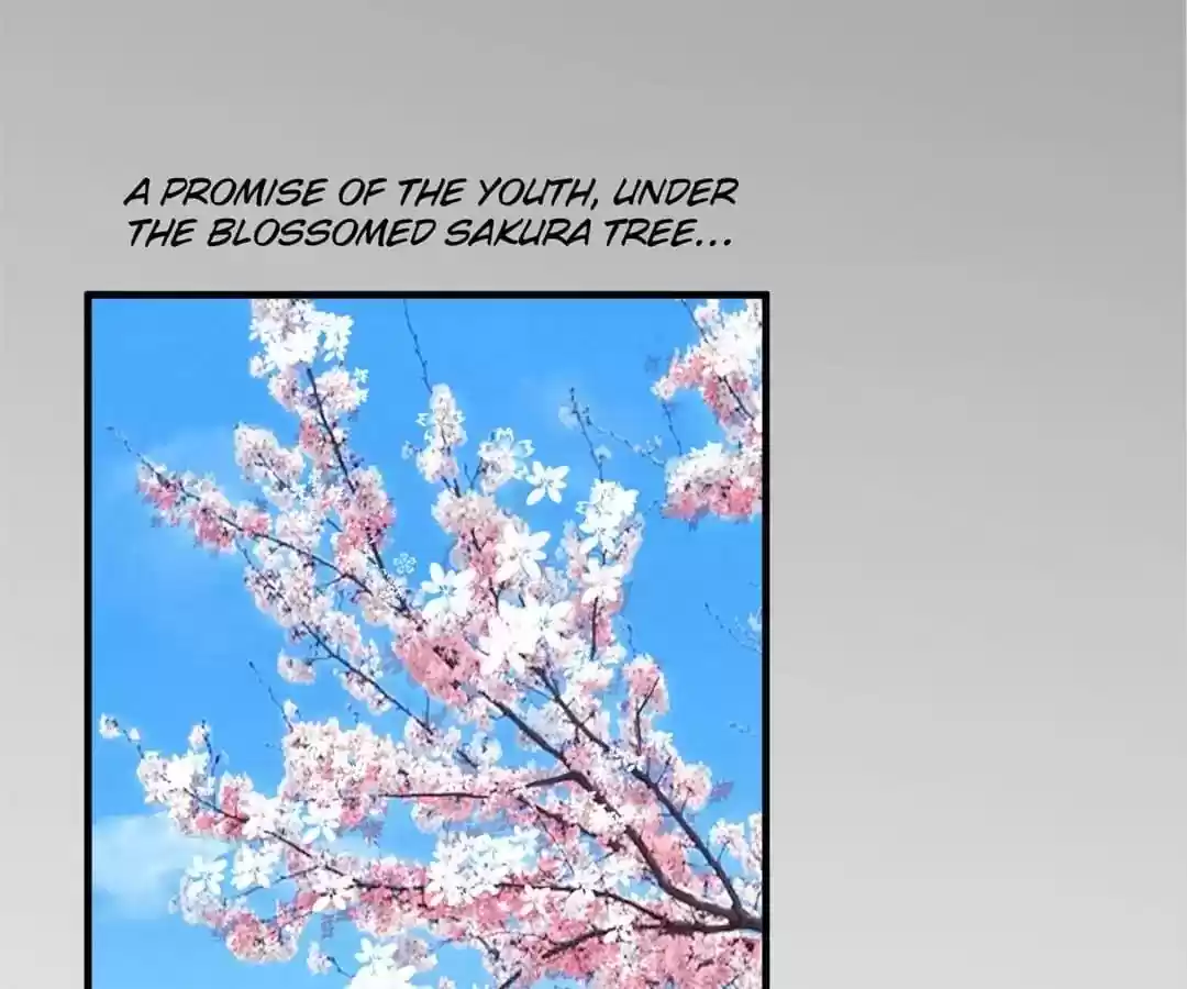 The Substitute Bride Chapter 46