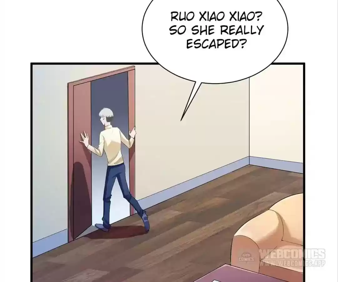 The Substitute Bride Chapter 47