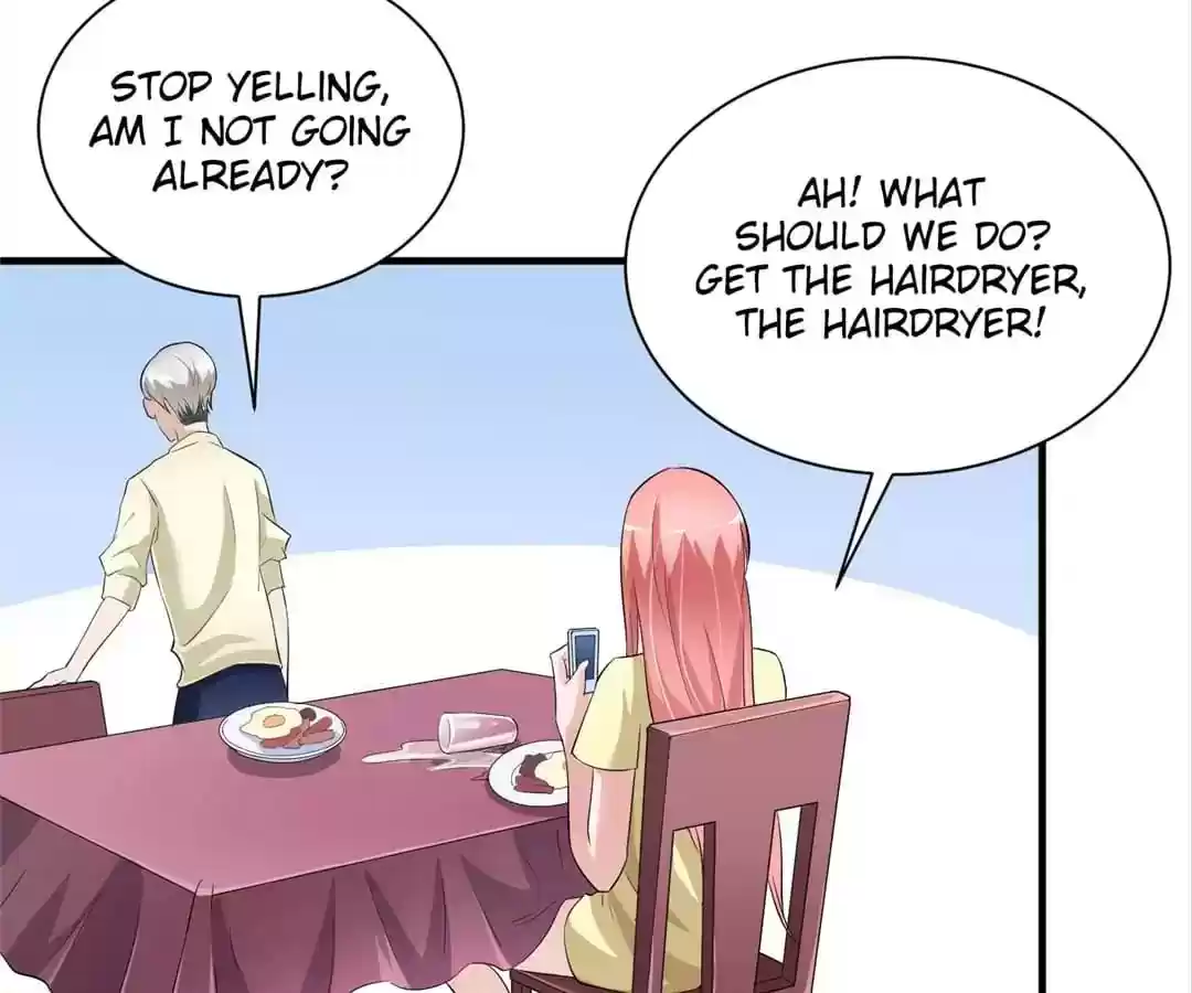 The Substitute Bride Chapter 48