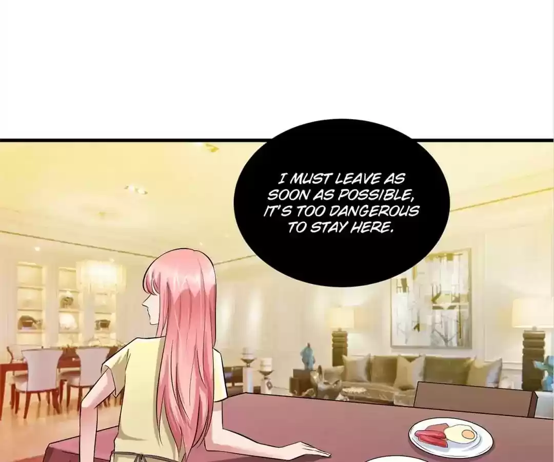 The Substitute Bride Chapter 48