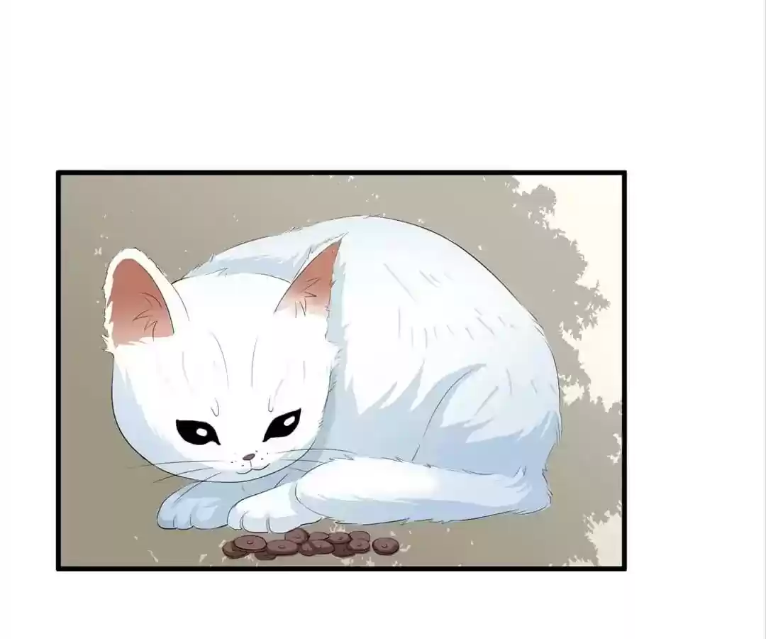 The Substitute Bride Chapter 53