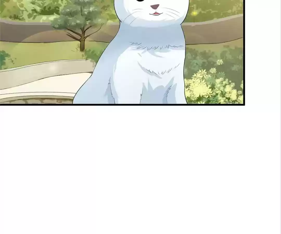 The Substitute Bride Chapter 53