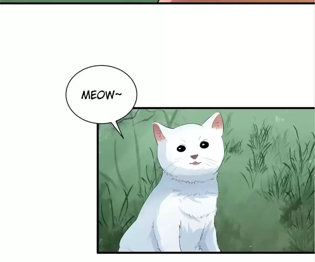 The Substitute Bride Chapter 61