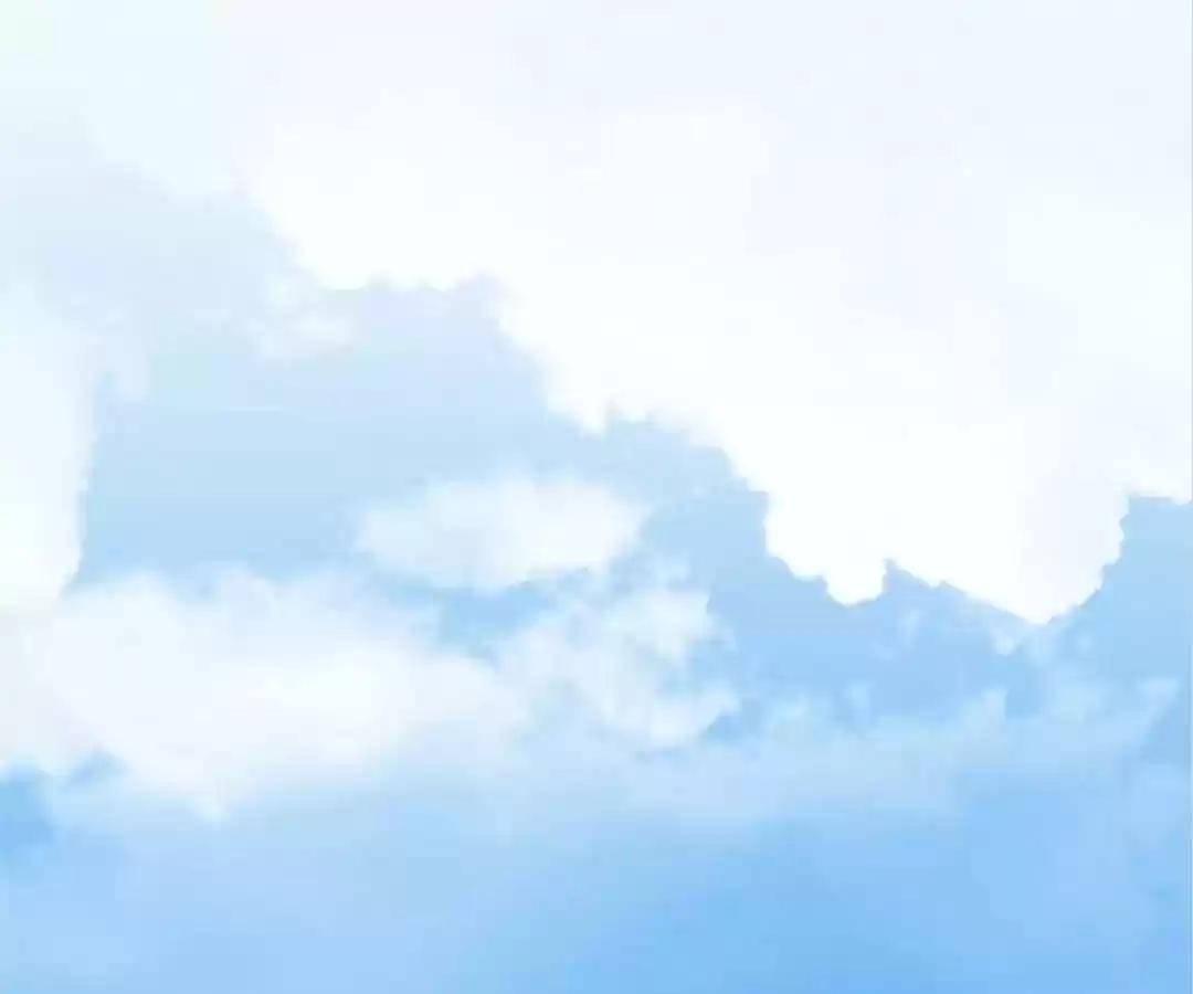 The Substitute Bride Chapter 61