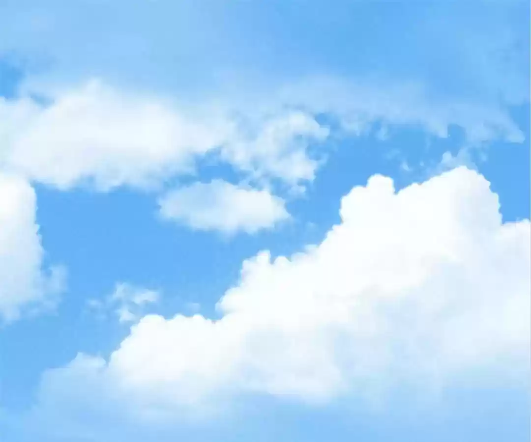 The Substitute Bride Chapter 61