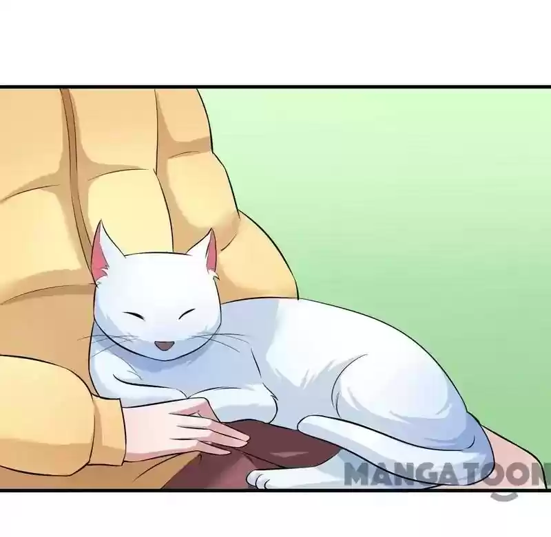 The Substitute Bride Chapter 62