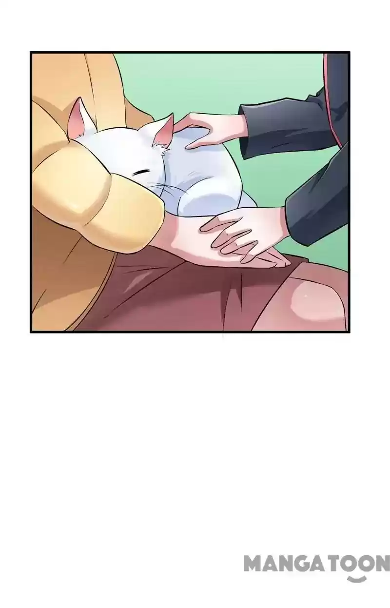 The Substitute Bride Chapter 62