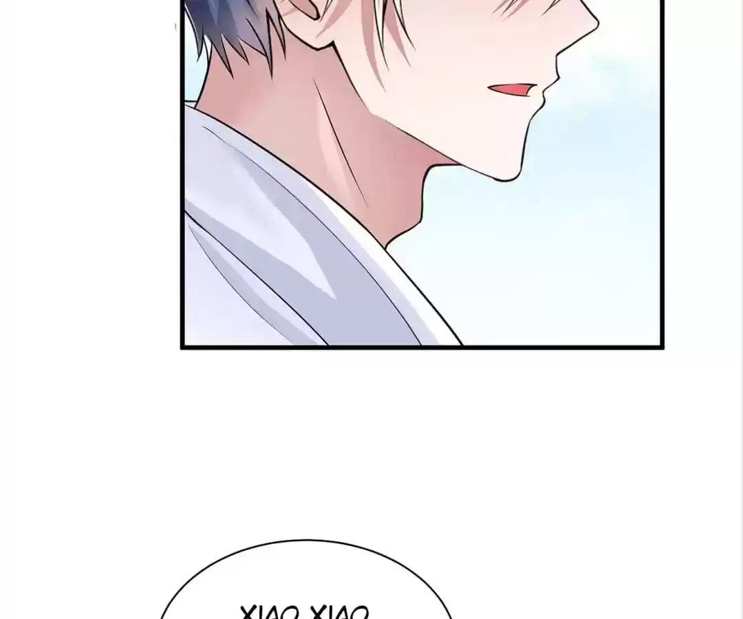 The Substitute Bride Chapter 65