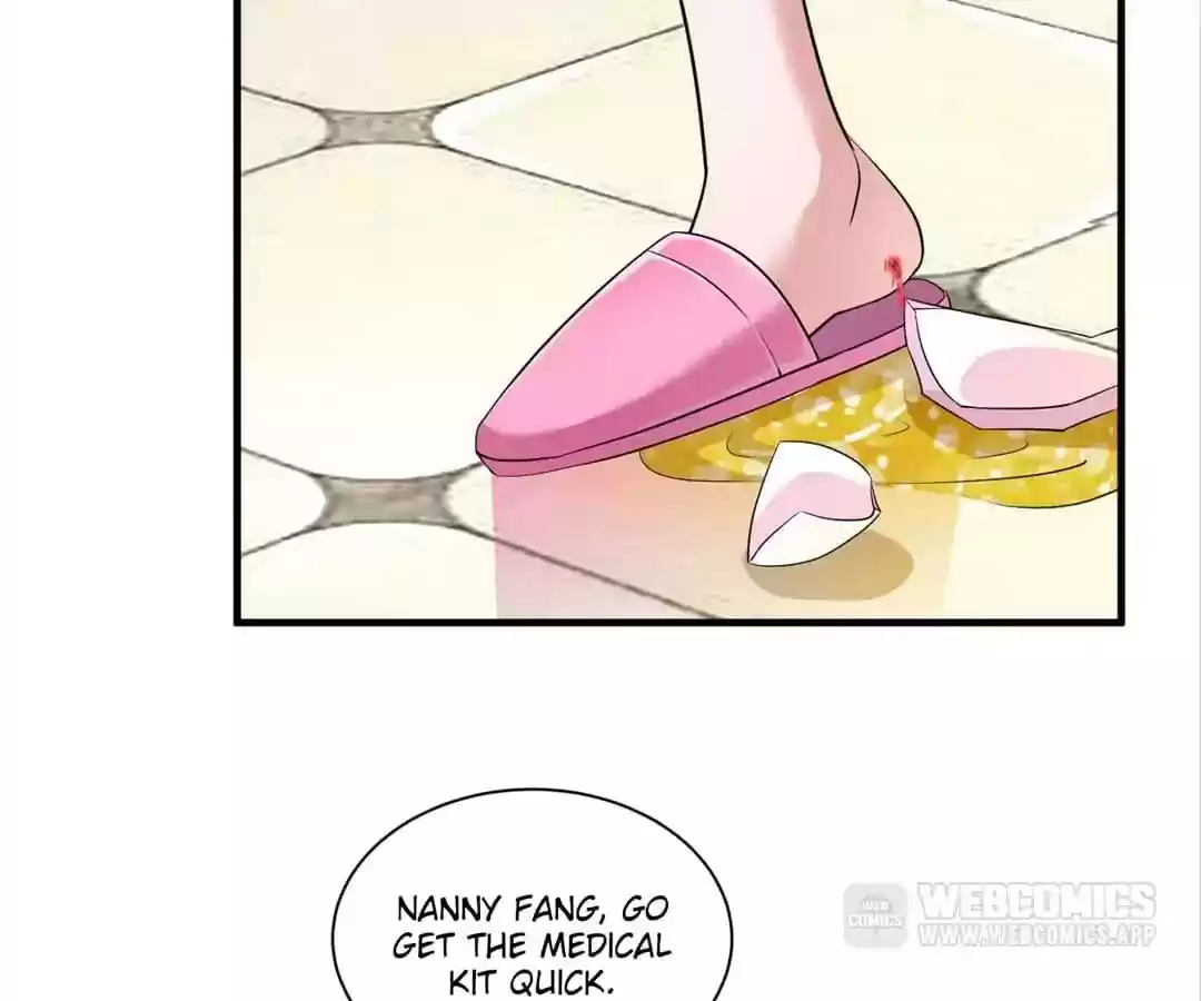 The Substitute Bride Chapter 65