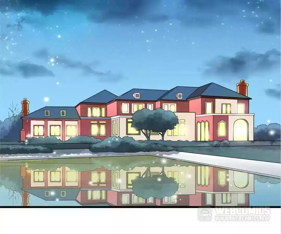 The Substitute Bride Chapter 8