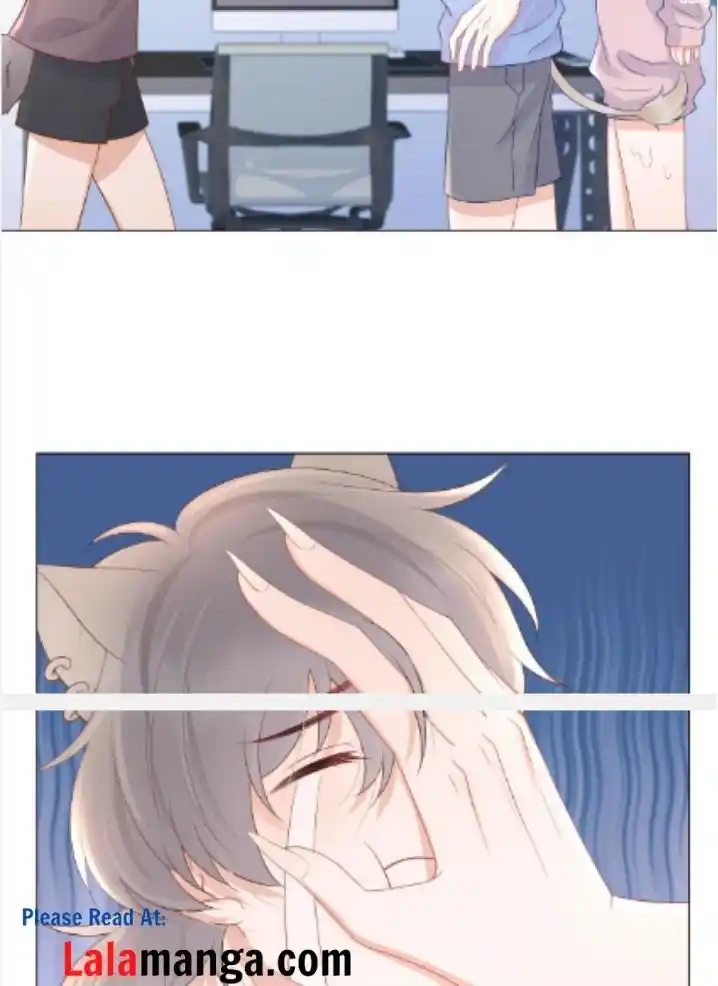 The Tiger Wants To Eat The Little Rabbit Chapter 11