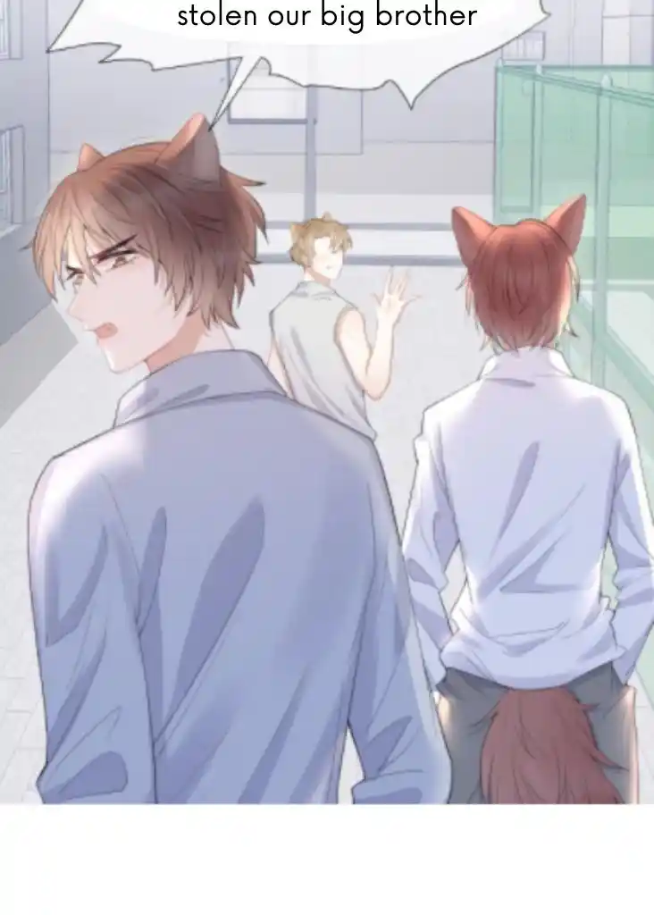 The Tiger Wants To Eat The Little Rabbit Chapter 15