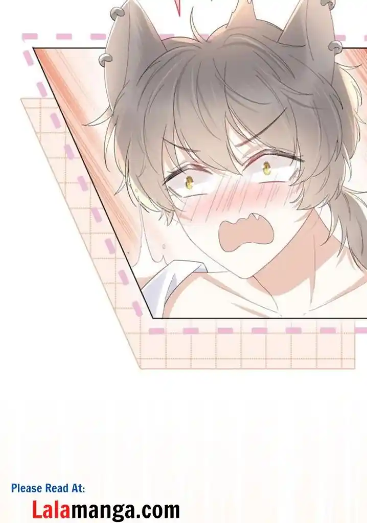 The Tiger Wants To Eat The Little Rabbit Chapter 18