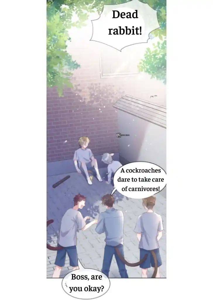 The Tiger Wants To Eat The Little Rabbit Chapter 3