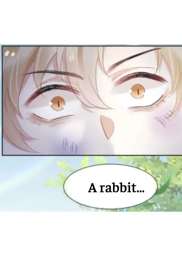 The Tiger Wants To Eat The Little Rabbit Chapter 3