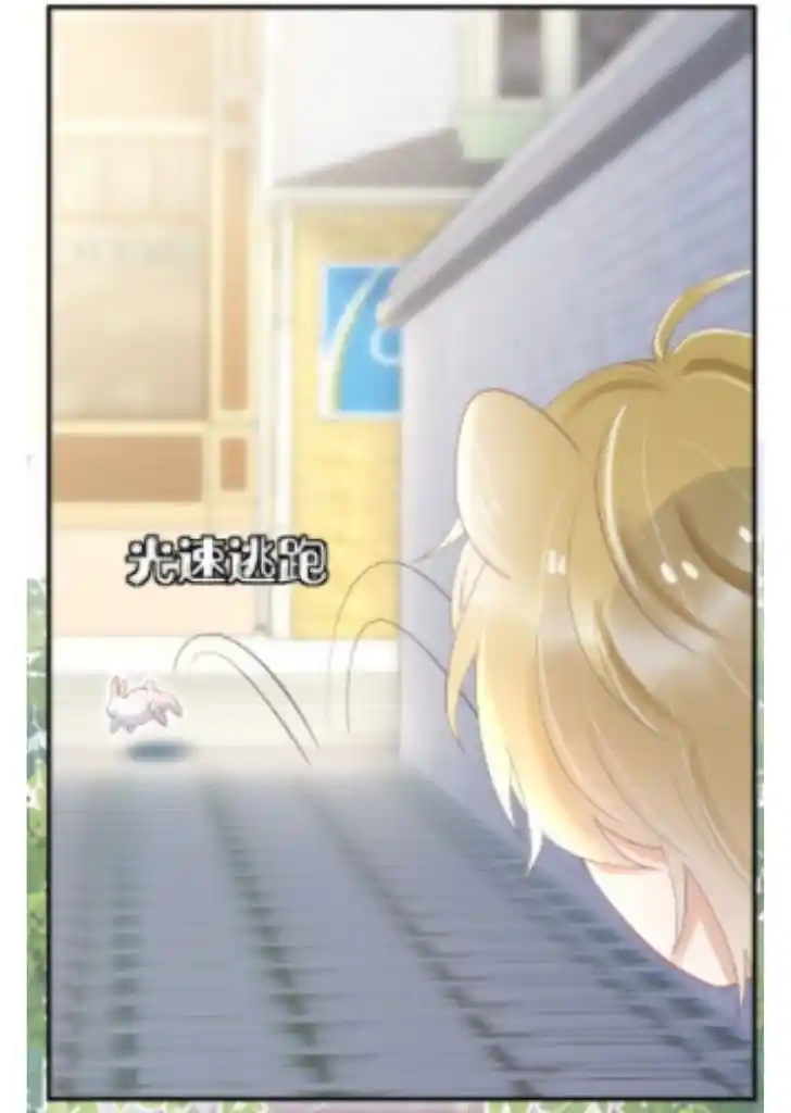 The Tiger Wants To Eat The Little Rabbit Chapter 3