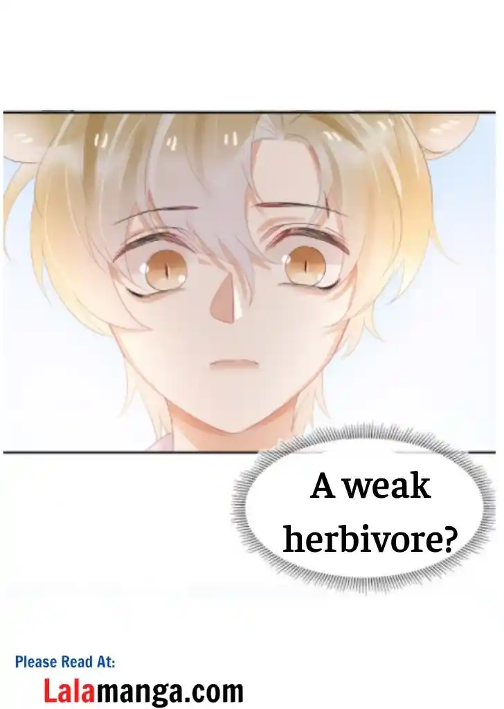 The Tiger Wants To Eat The Little Rabbit Chapter 3