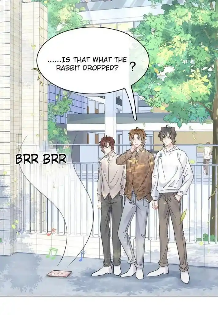 The Tiger Wants To Eat The Little Rabbit Chapter 33