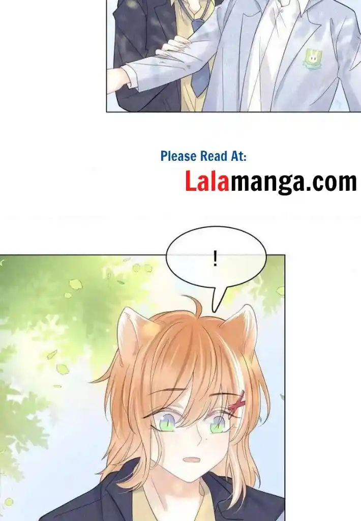 The Tiger Wants To Eat The Little Rabbit Chapter 33