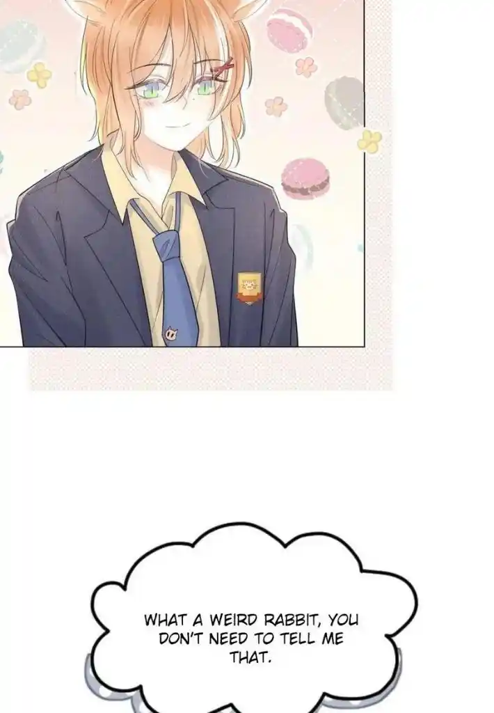 The Tiger Wants To Eat The Little Rabbit Chapter 33