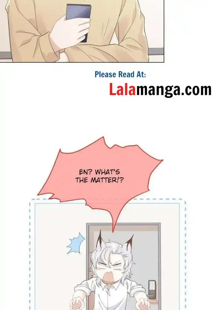 The Tiger Wants To Eat The Little Rabbit Chapter 35