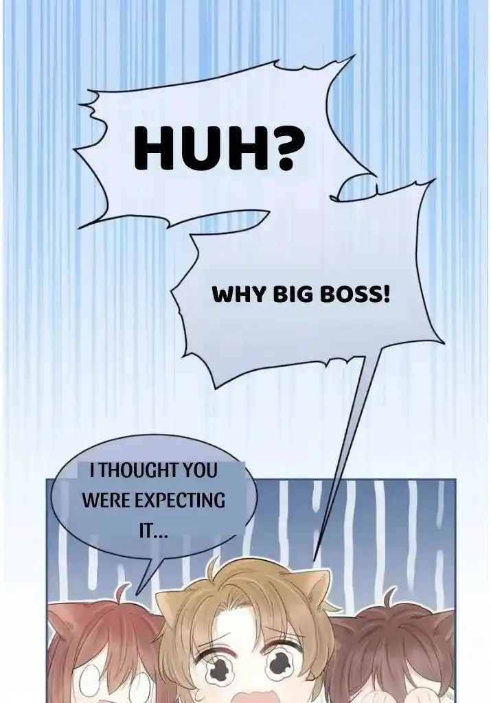 The Tiger Wants To Eat The Little Rabbit Chapter 40