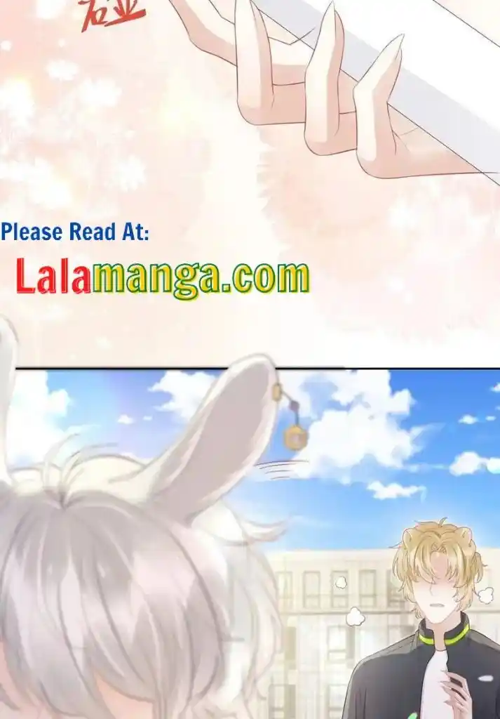 The Tiger Wants To Eat The Little Rabbit Chapter 41