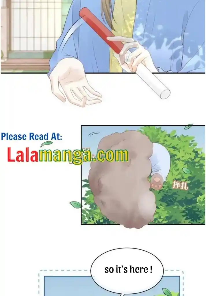 The Tiger Wants To Eat The Little Rabbit Chapter 41