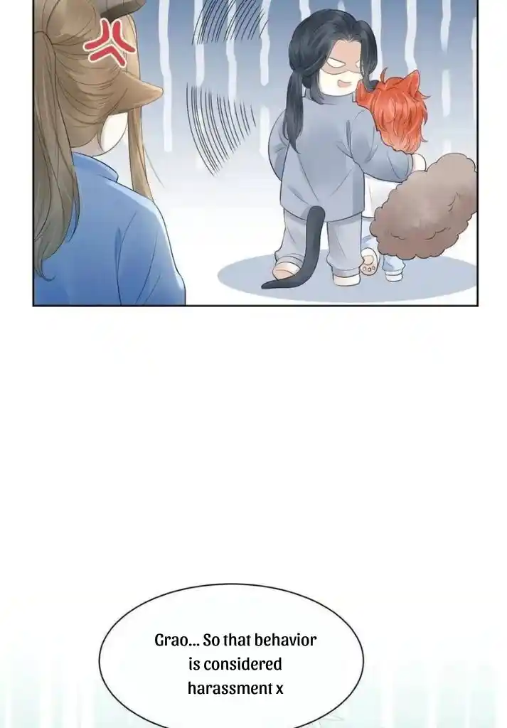The Tiger Wants To Eat The Little Rabbit Chapter 41