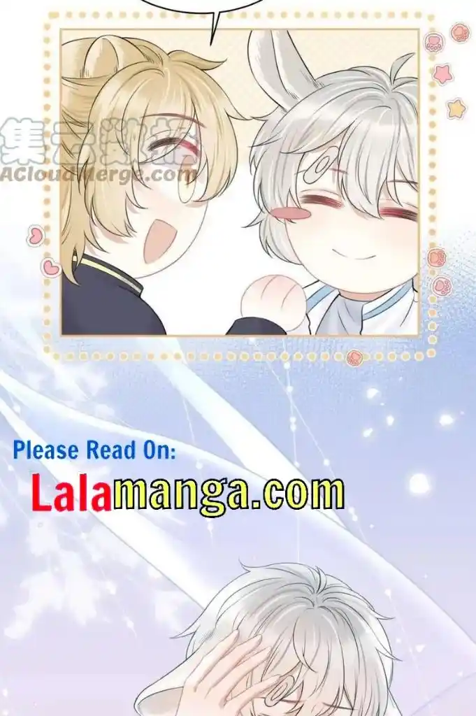 The Tiger Wants To Eat The Little Rabbit Chapter 46