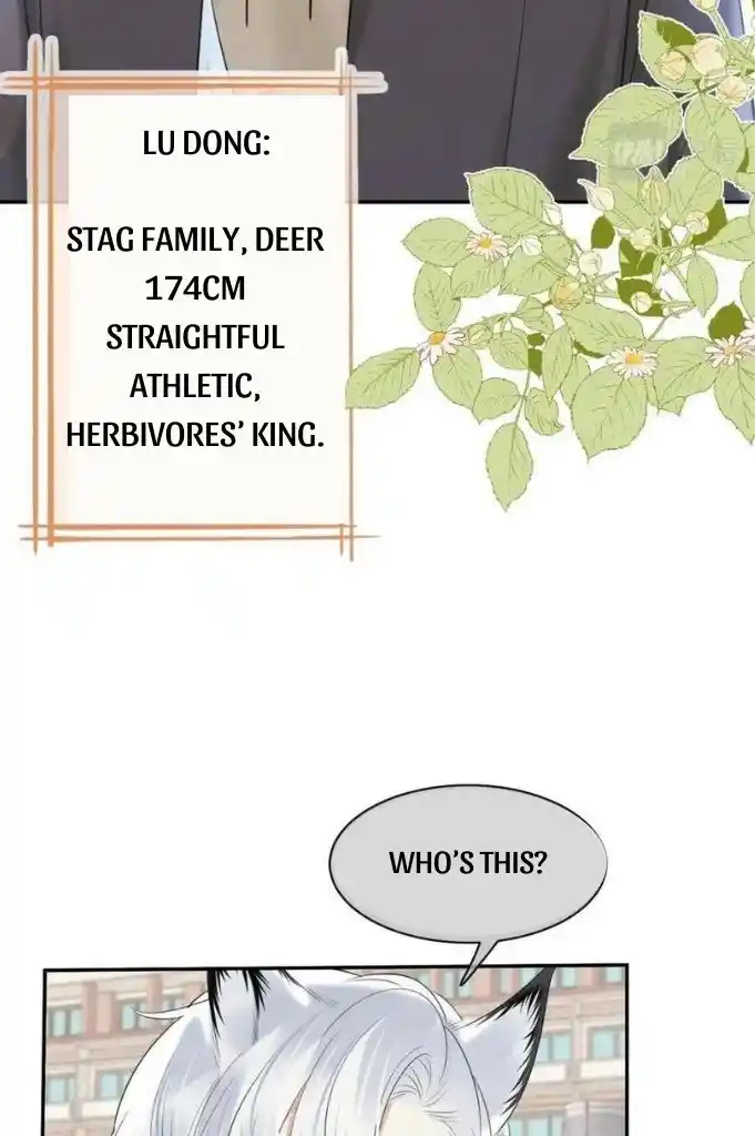 The Tiger Wants To Eat The Little Rabbit Chapter 46