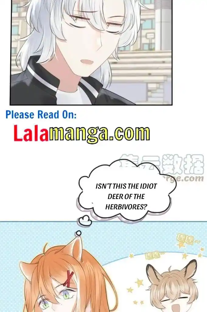 The Tiger Wants To Eat The Little Rabbit Chapter 46