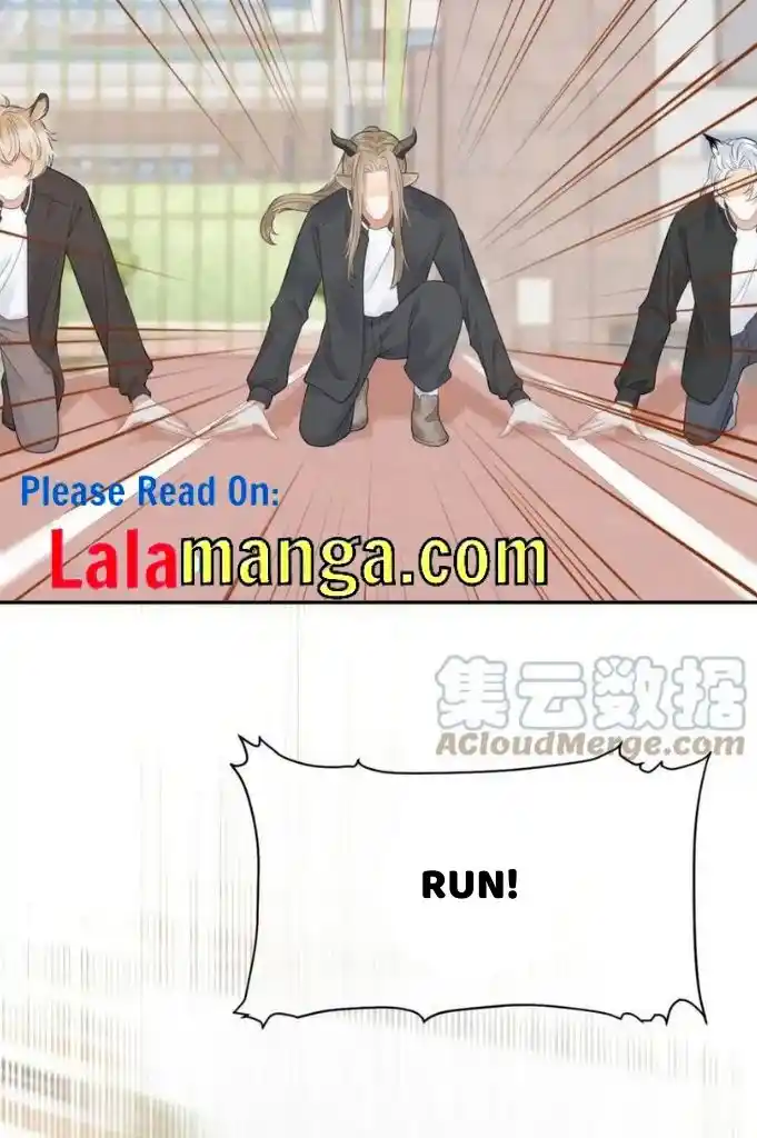 The Tiger Wants To Eat The Little Rabbit Chapter 46