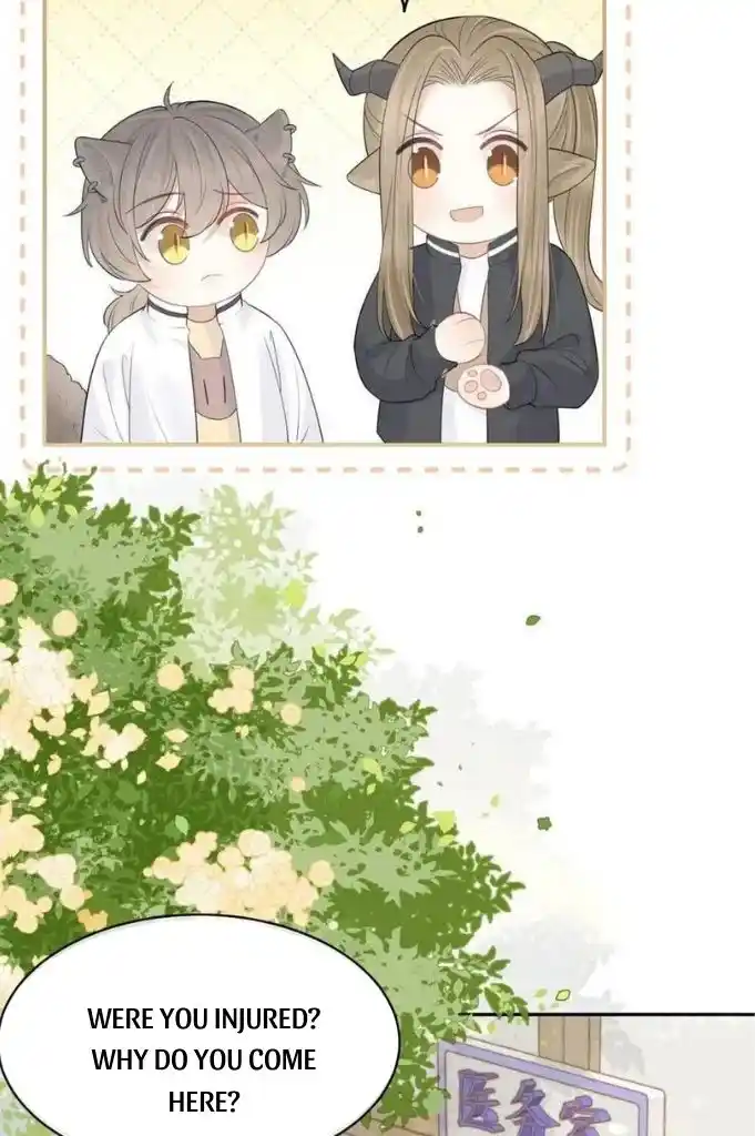 The Tiger Wants To Eat The Little Rabbit Chapter 46