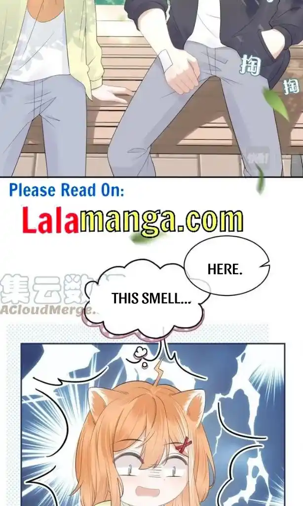 The Tiger Wants To Eat The Little Rabbit Chapter 48