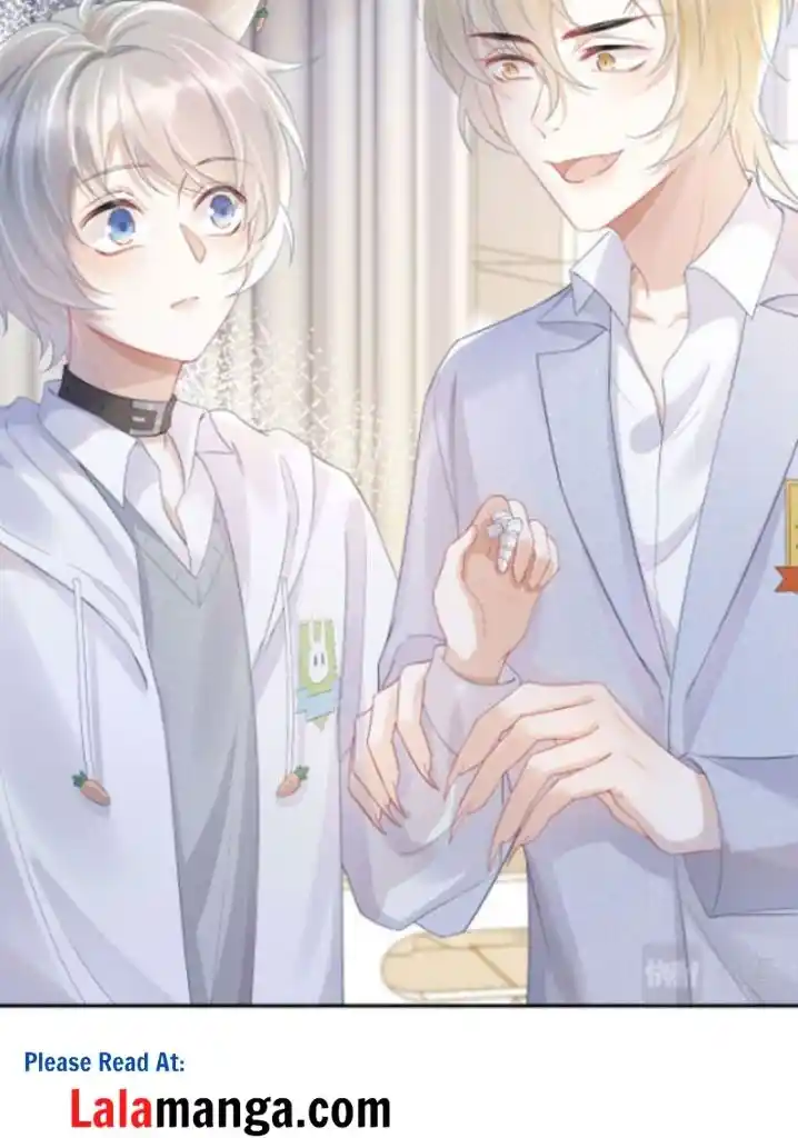 The Tiger Wants To Eat The Little Rabbit Chapter 5