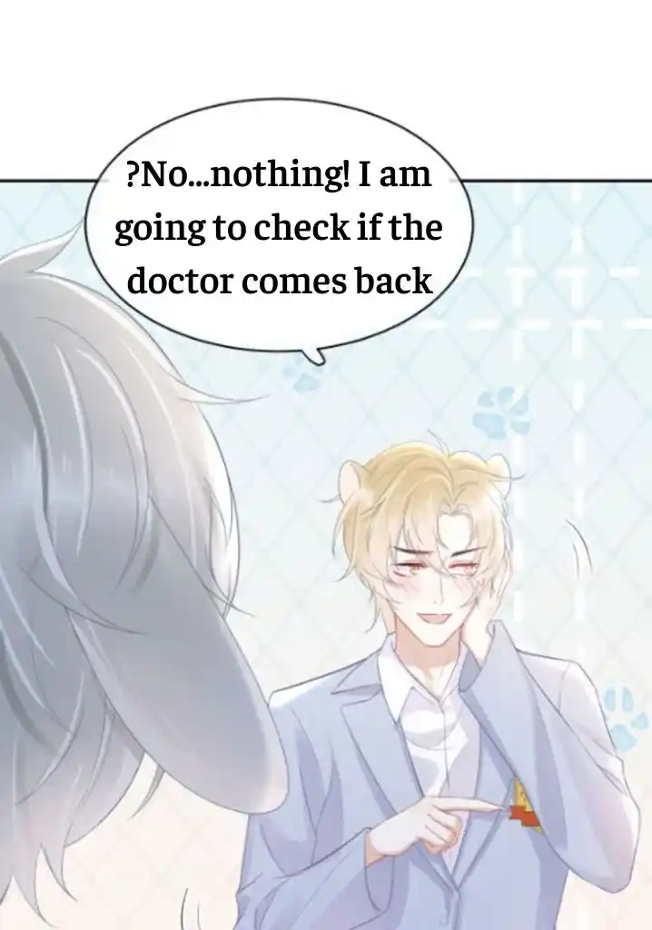 The Tiger Wants To Eat The Little Rabbit Chapter 5