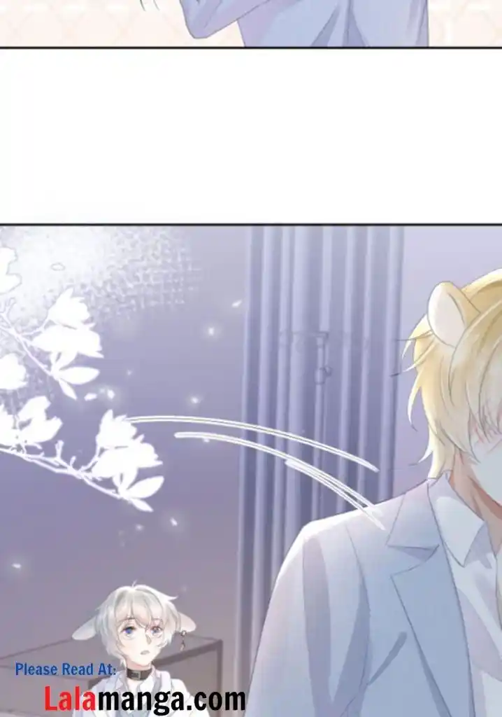 The Tiger Wants To Eat The Little Rabbit Chapter 5