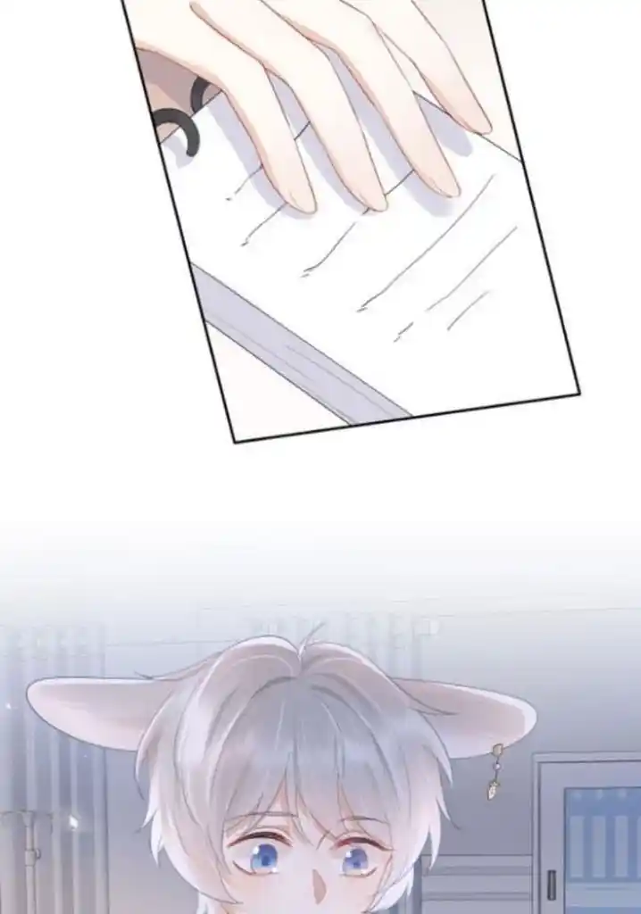 The Tiger Wants To Eat The Little Rabbit Chapter 5