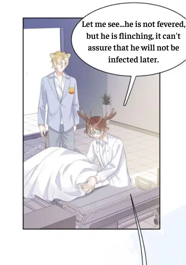 The Tiger Wants To Eat The Little Rabbit Chapter 5