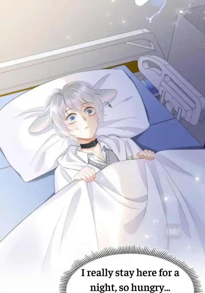 The Tiger Wants To Eat The Little Rabbit Chapter 5