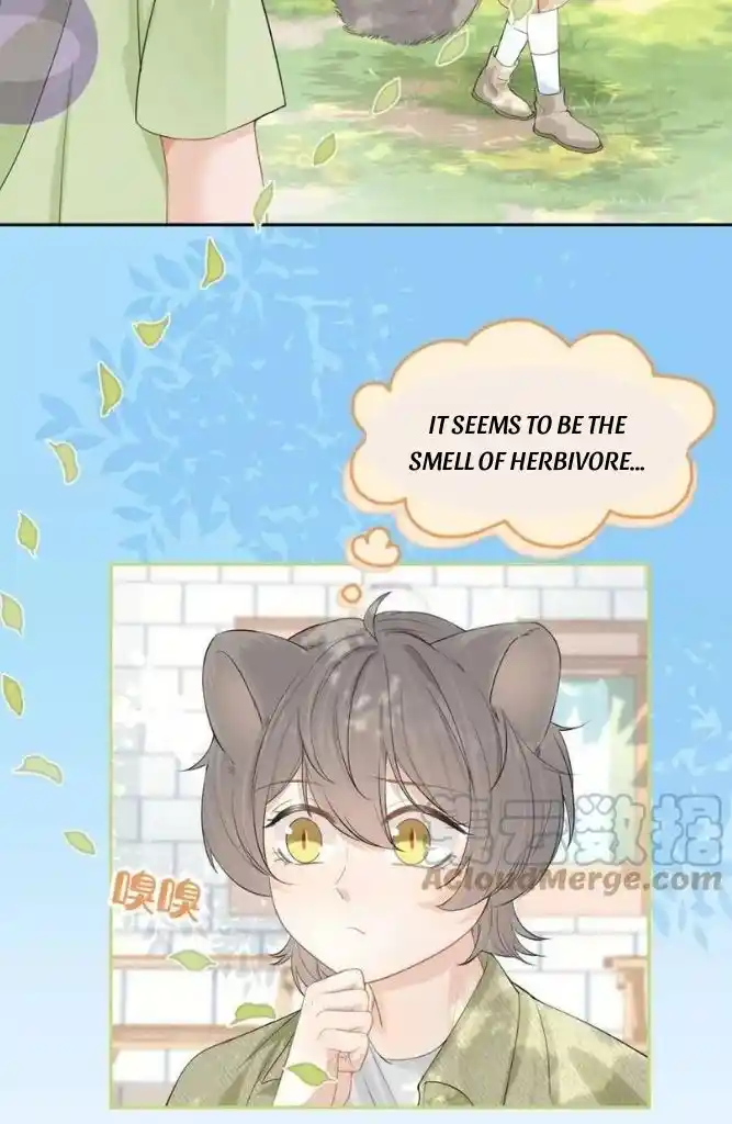 The Tiger Wants To Eat The Little Rabbit Chapter 51