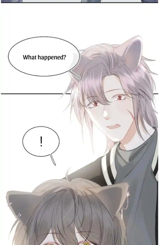 The Tiger Wants To Eat The Little Rabbit Chapter 68