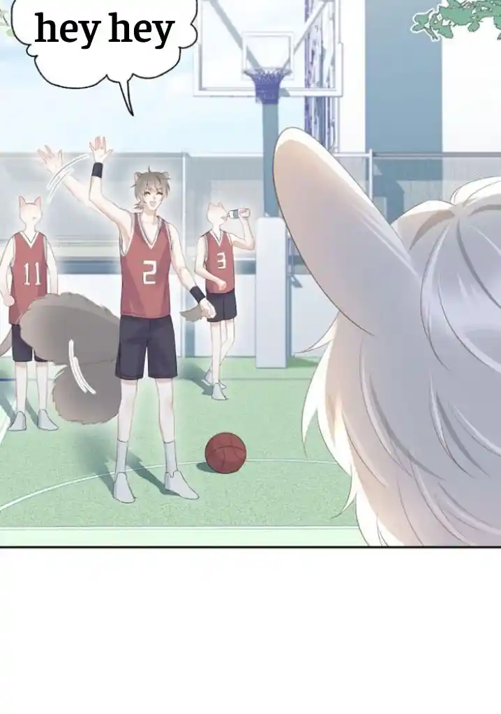 The Tiger Wants To Eat The Little Rabbit Chapter 7