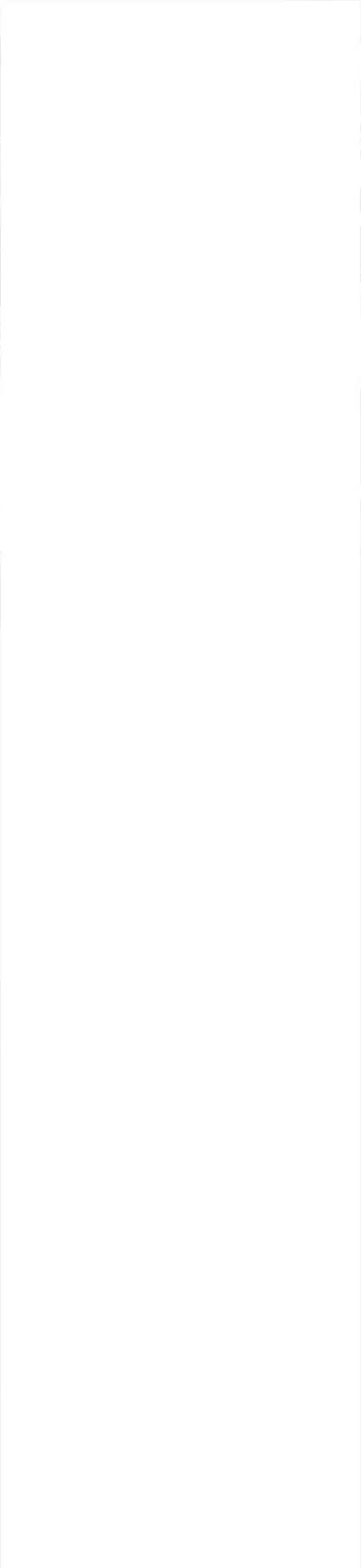 The Time of Rebirth 2.2