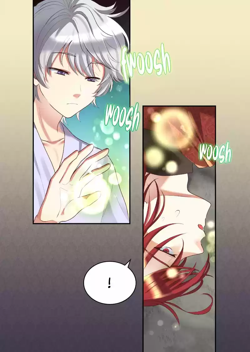 The Twin Siblings’ New Life ch.37